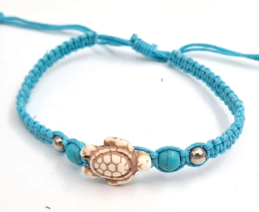 B2013 String Turtle