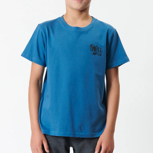 O'niell Drop In Shaggy Boys Tee